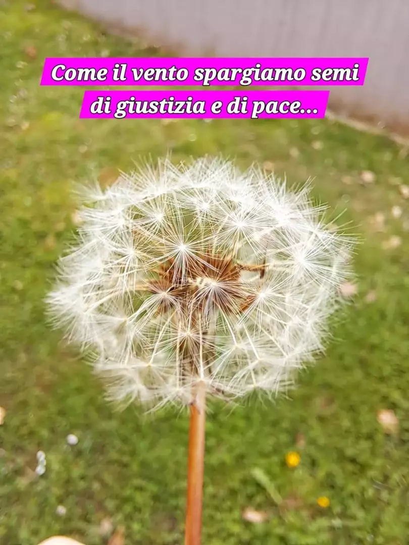 GIORNATA DELLA MEMORIA E DELL'IMPEGNO IN RICORDO DELLE VITTIME INNOCENTI DELLE MAFIE  21 MARZO 2025