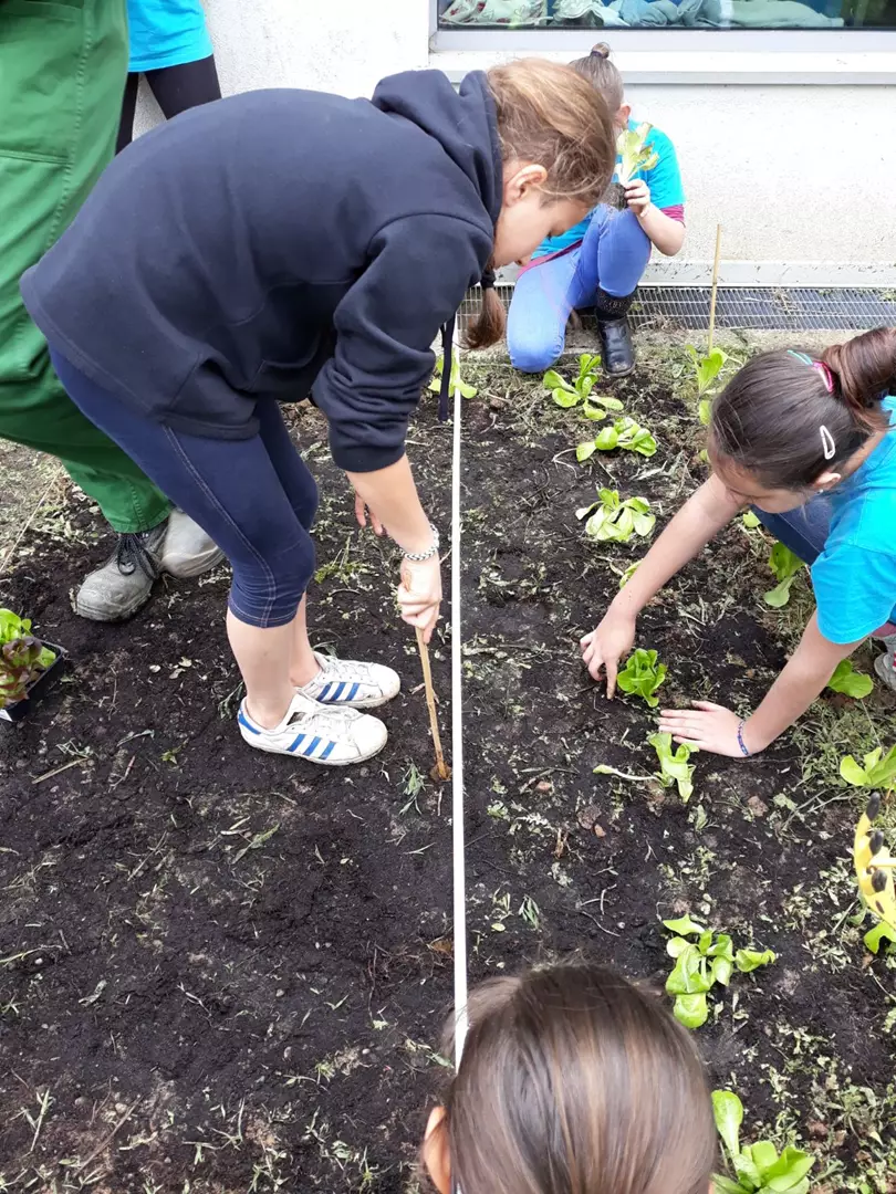Una scuola ECOSOSTENIBILE